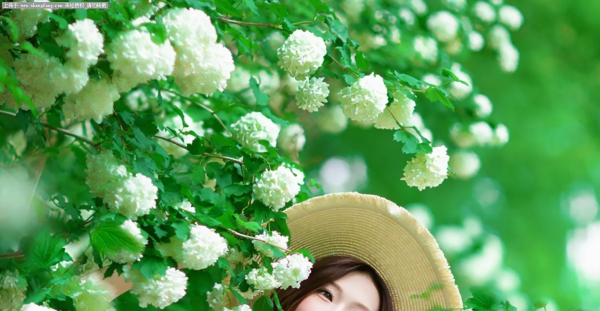 胜芳古镇五月外拍人像，富氧绣球，清新佳人古镇小雪外拍人像