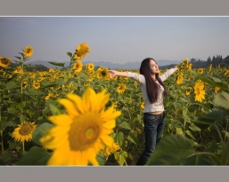 向日葵与摄影MM