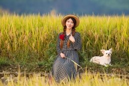 秋天，美丽的的记忆