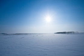 金山老师的冬之雪